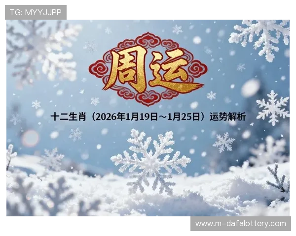 揭秘六合彩计划背后的规律与选号策略全面解析指南